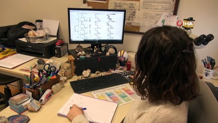 'Yaz mevsiminin geç gelmesi korkulacak bir durum değil'