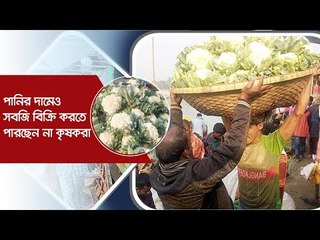 পানির দামেও সবজি বিক্রি করতে পারছেন না কৃষকরা | Jagonews24.com
