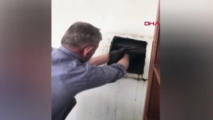 BACAYA SIKIŞAN MARTI, KURTARILDI