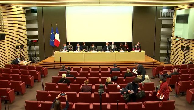 Commissions du développement durable, des affaires sociales et des affaires économiques : Suivi de la stratégie de sortie du glyphosate - Mardi 15 décembre 2020