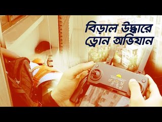 ১৬ তলার কার্নিশে আটকে পড়া বিড়াল উদ্ধার করল ‘রবিনহুড’ | Jagonews24.com