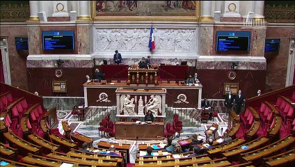 1ère séance : Délai d’organisation des élections ; Réforme de l’adoption (suite) - Vendredi 4 décembre 2020