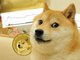 Dogecoin millionaire invested his savings in the meme cryptocurrency with inspiration from Elon Musk
