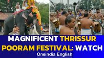Thrissur Pooram festival is a feast for the eyes: Watch | Oneindia News