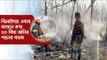 ঝিনাইদহে এবার আগুনে ভস্ম ২০ বিঘা জমির পানের বরজ | Jagonews24.com