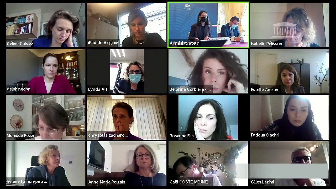 Délégation aux droits des femmes : La lutte contre les violences économiques dans le couple : enjeux et perspective - Mercredi 25 novembre 2020