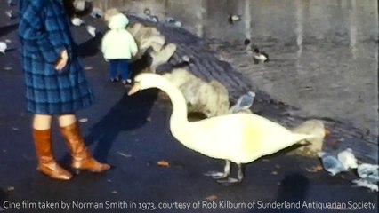 Cine film of Mowbray Park and Seaburn from 1973