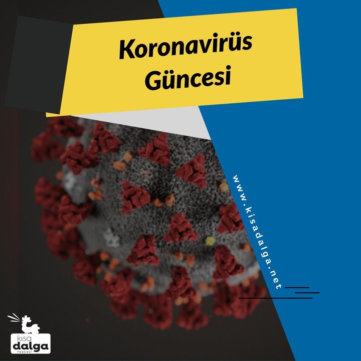 Koronavirüs güncesi 1