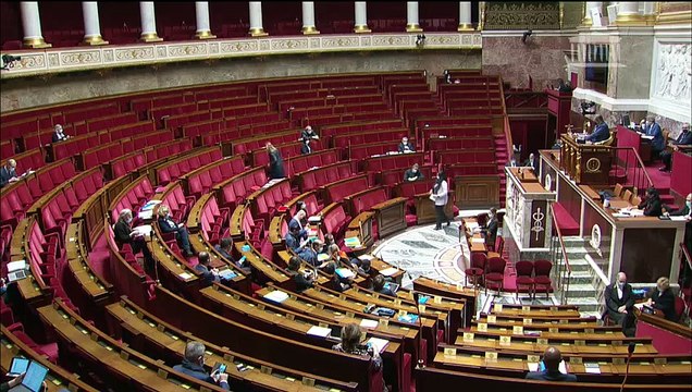 2ème séance : Répartition des conseillers de l’Assemblée de Guyane ; Système de santé par la confiance et la simplification ; réforme de l'adoption - Mercredi 2 décembre 2020