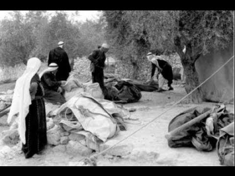 حكاية لاجىء فلسطيني يحلم بشجر الكينا - فتون رعد