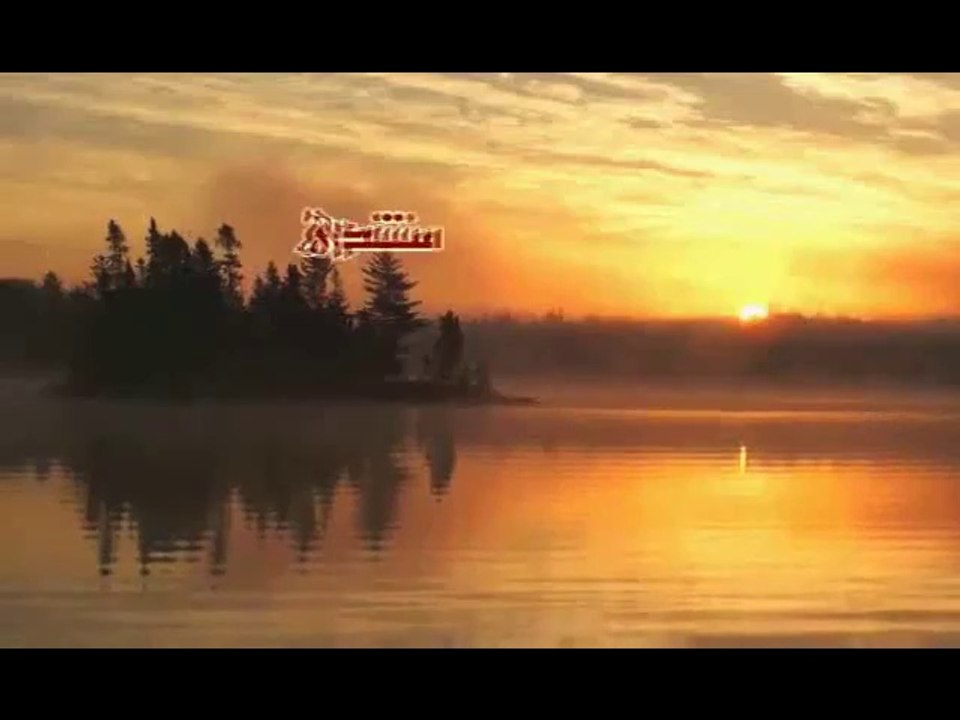 دمعة موحّد - سرير أبيض
