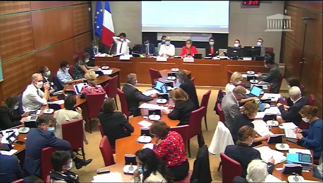 Commission du développement durable : conditions de mise sur le marché de certains produits phytopharmaceutiques en cas de danger sanitaire - Mardi 22 septembre 2020