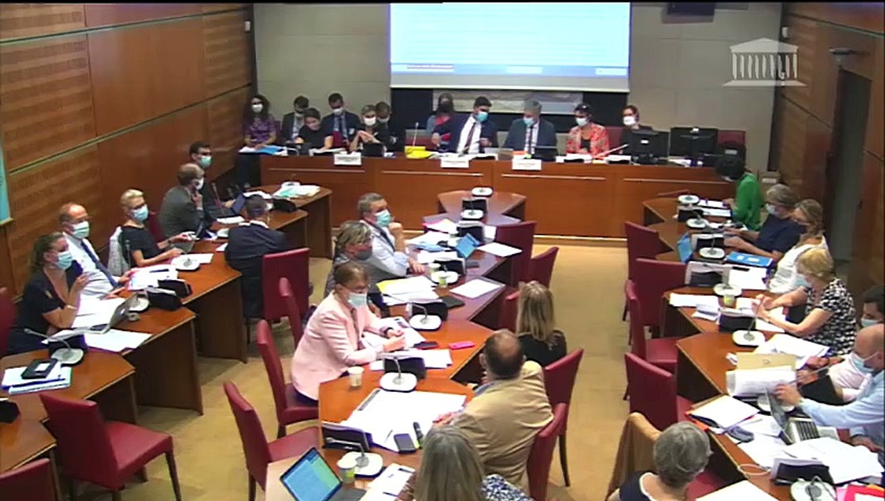 Commission spéciale chargée d'examiner le projet de loi d’accélération et de simplification de l’action publique (suite) - Mardi 15 septembre 2020