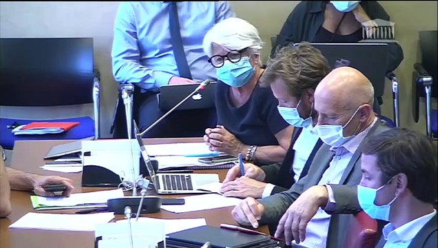 Commission des affaires sociales : Renforcement de l’inclusion dans l’emploi par l’activité économique et à l’expérimentation « territoire zéro chômeur de longue durée » (PPL) - Mercredi 9 septembre 2020