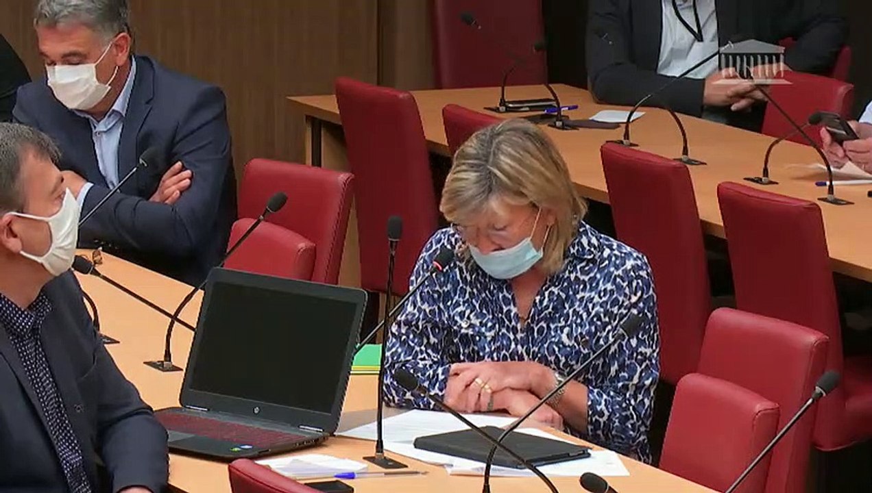 Commission des affaires économiques : M. Philippe Mauguin dont la nomination aux fonctions de président-directeur général de l’INRAe est envisagée - Mercredi 29 juillet 2020