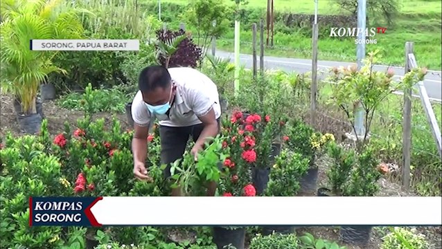 Budidaya Tanaman Hias Meraup Untung