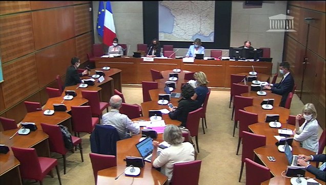 Politiques publiques de santé environnementale (CE) : M. Cédric Bourillet (ministère de la transition écologique) ; Mme Marie-Hélène Tusseau-Villemin et Mme Anne Paoletti (directrices scientifiques) - Mercredi 23 septembre 2020