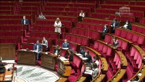 1ère séance : Conseil Économique, Social et environnemental (projet de loi organique) (suite) - Jeudi 17 septembre 2020