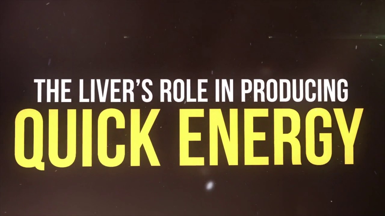 The Liver’s Role in Producing Quick Energy