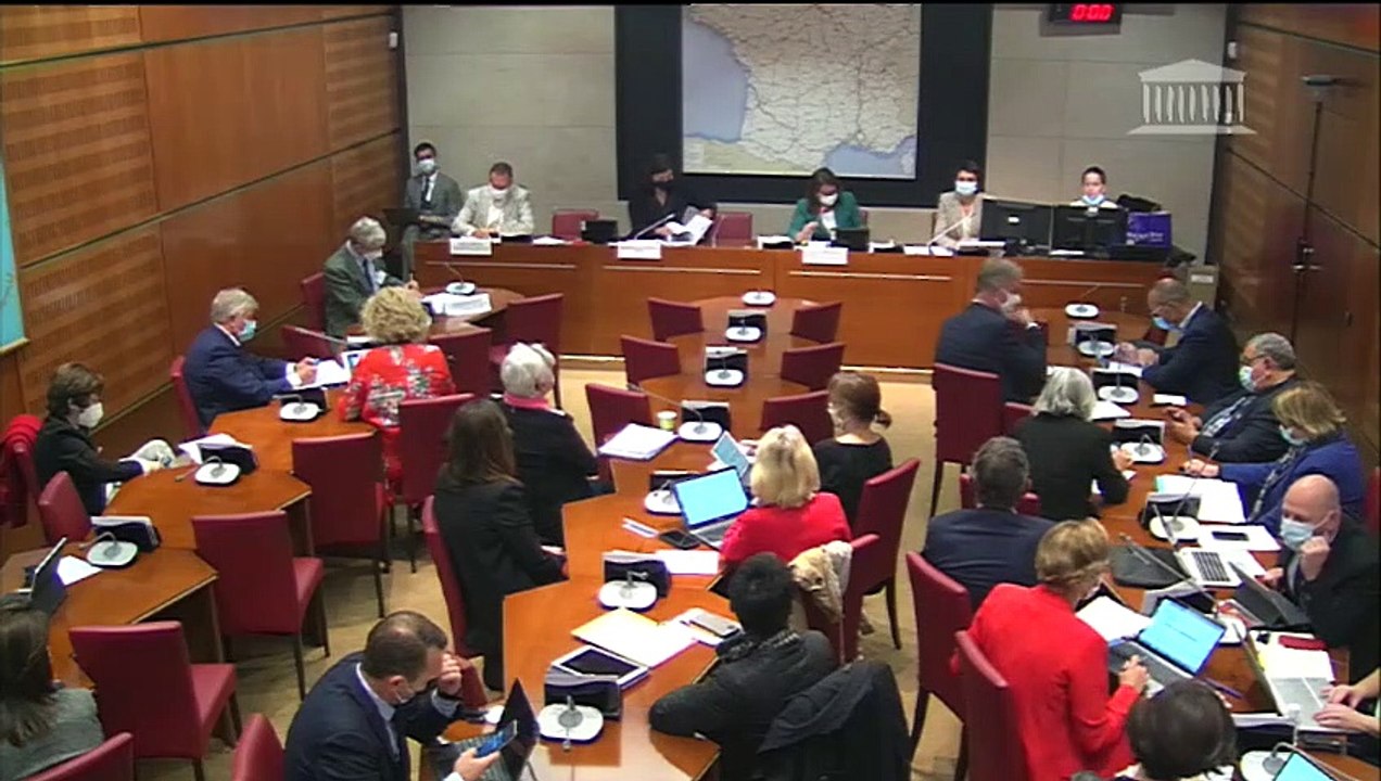 Commission du développement durable : rapport sur la forêt et la filière bois - Mercredi 7 octobre 2020