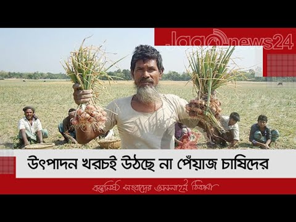 উৎপাদন খরচই উঠছে না পেঁয়াজ চাষিদের | Jagonews24...