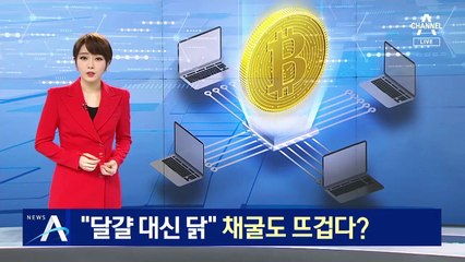 “달걀 대신 닭”…가상화폐 채굴도 다시 호황
