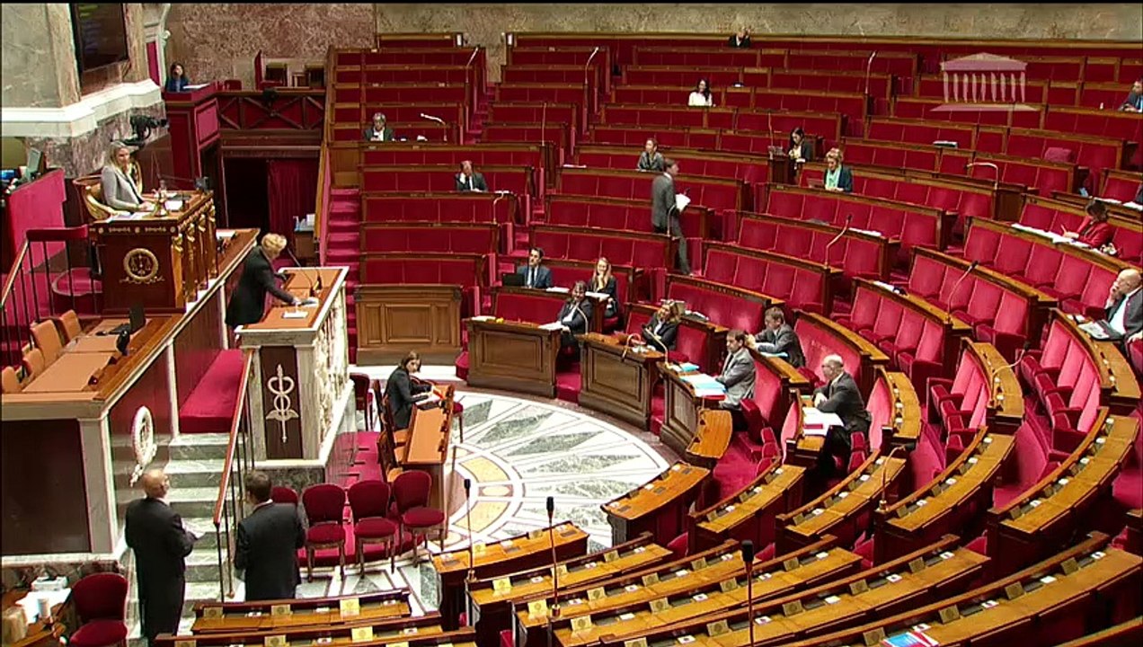 1ère séance : Annulation du second tour des élections municipales et report des élections consulaires - Vendredi 5 juin 2020