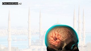 İllnesses in Turkish