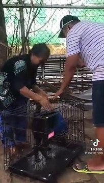 Cụ già khóc khi giao cún cưng nhờ người khác chăm hộ vì sức khỏe yếu