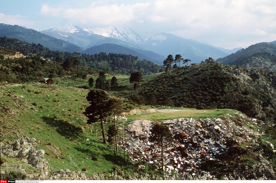 Corse : trois fonctionnaires du ministère de l’Agriculture accusés de truquer des dossiers
