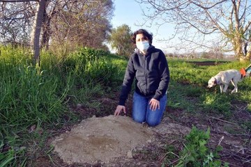 TEKİRDAĞ'DA HAYVANSEVERİN BAKTIĞI SOKAK KÖPEKLERİ TÜFEKLE VURULDU