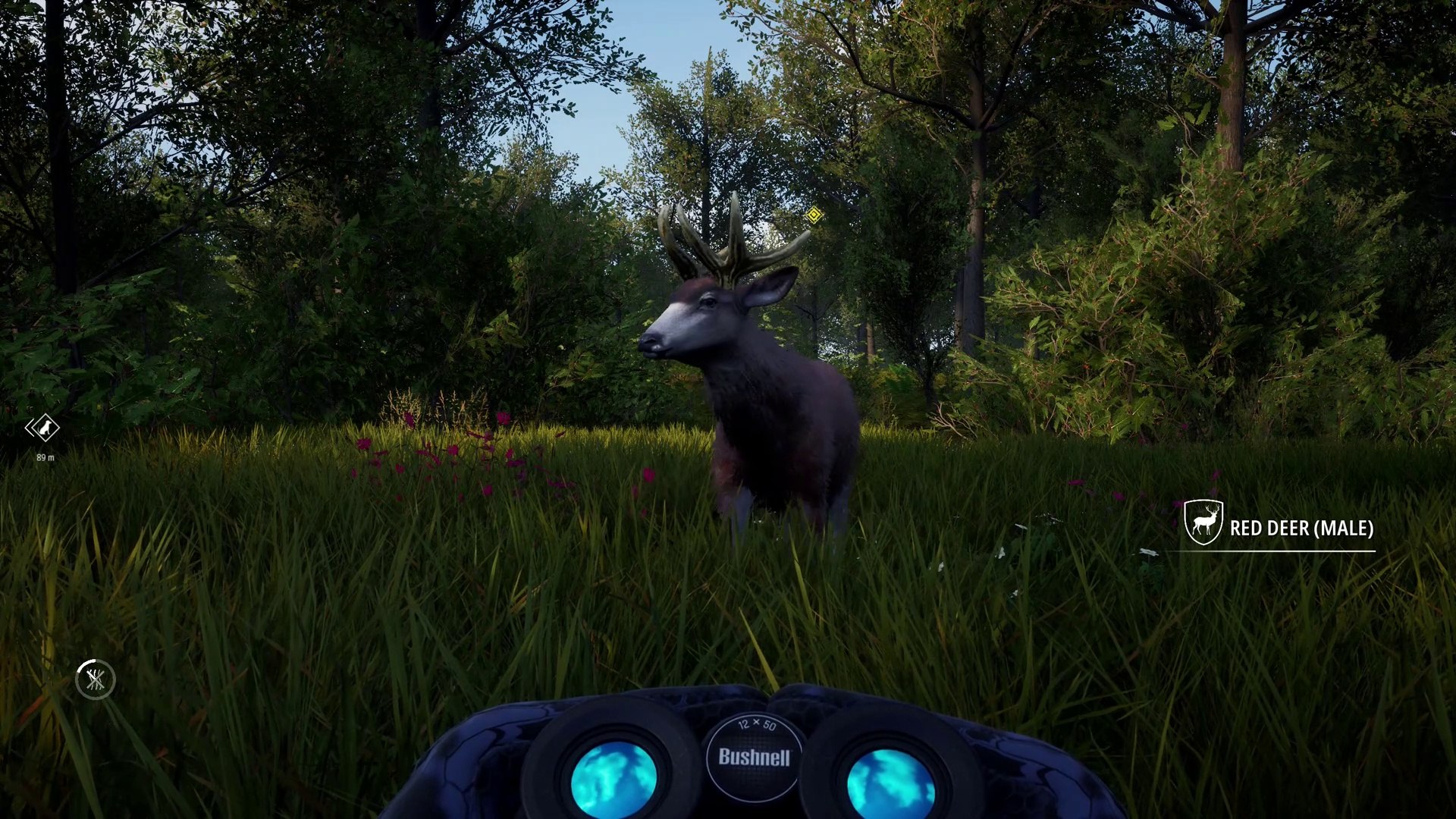 malt Samlet frivillig Red Deer VERY Close ;Hunting Simulator 2 [PC] - video Dailymotion