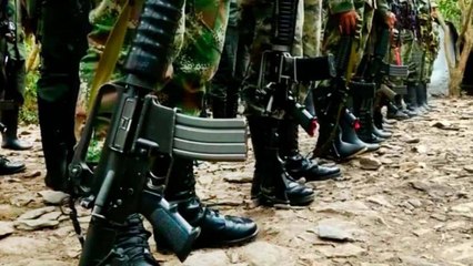 Скачать видео: Enfrentamientos entre disidencias de las Farc y ejército venezolano dejan varios muertos