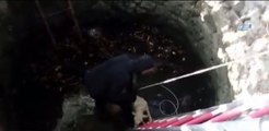 Kuyuya düşen koyunları itfaiye kurtardı