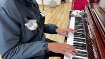 Kittens Listening to Piano Music Fall Asleep