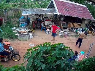 Barbequing Pig Has Some Unexpected Results