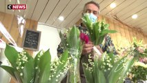 Muguet : malgré les contraintes, producteurs et distributeurs espèrent une année réussie