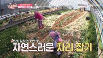 효심만큼 늘어난 변신 기술 ‘오메 이게 누구여’ TV CHOSUN 210423 방송
