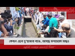 কেবল এলো দু’হাজার ব্যাঙ, আসছে মশাখেকো মাছও | Jagonews24.com