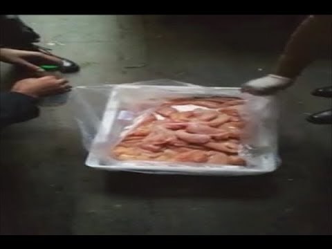 تبييض دجاج في طرابلس! - هادي الأمين