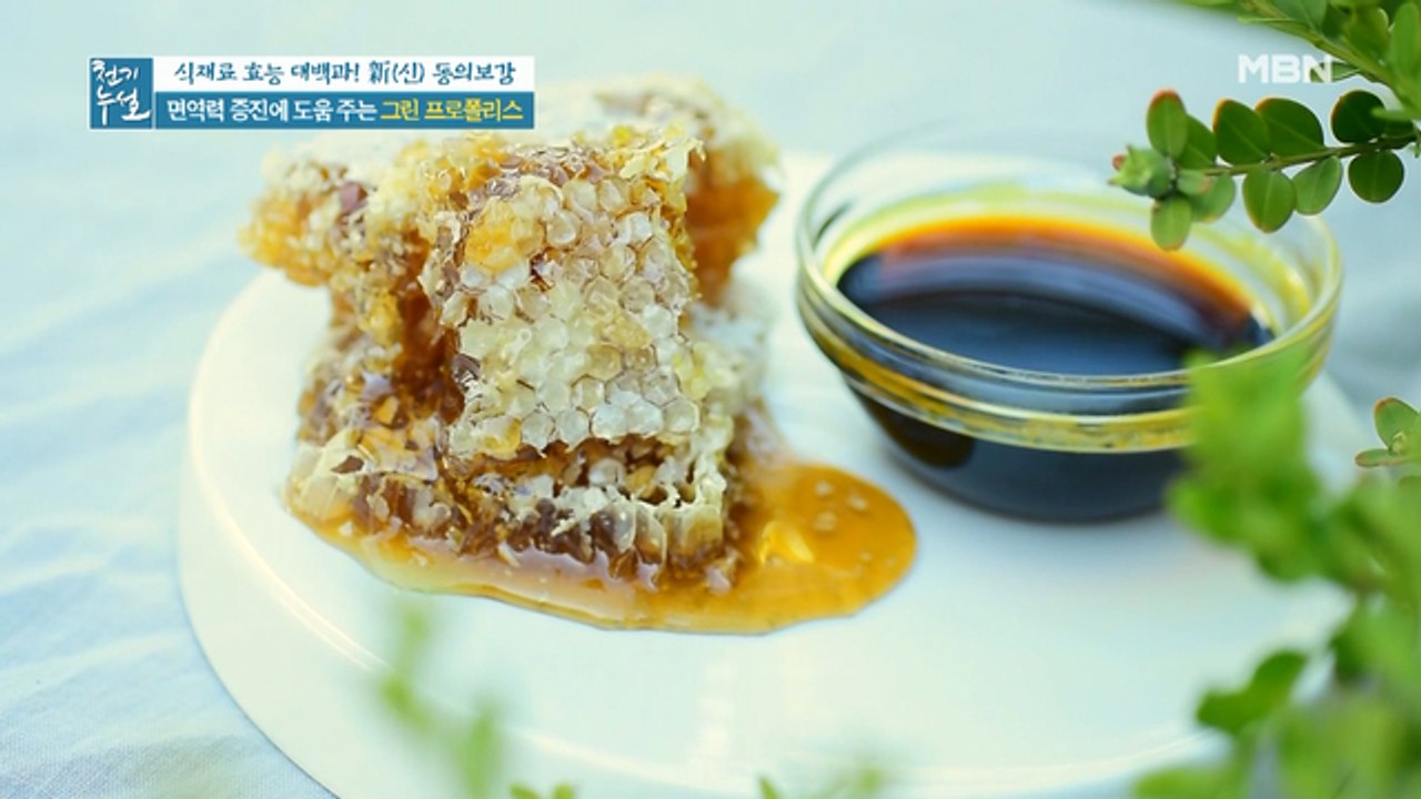 바이러스 NO! 면역력 YES! 천연 항균제 '그린 프로폴리스'