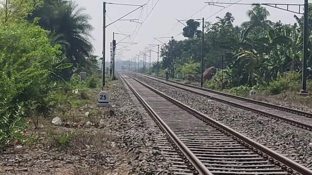 Howrah Balurghat Express Pulling by Blue with White WDP-4D Diesel Loco And WAP 4 Electric Loco