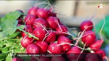 Alimentation : un tour au marché et en cuisine avec le chef étoilé Ronan Kervarrec