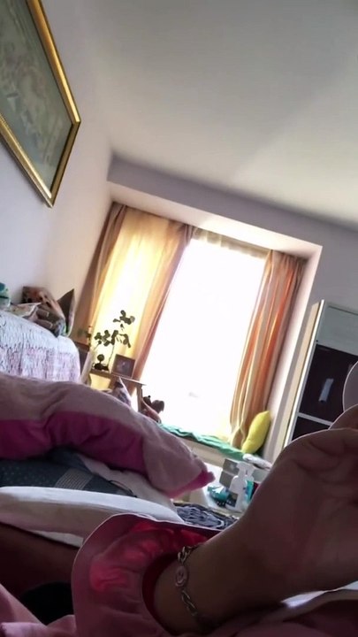 funny momen dogs