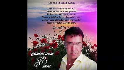 Gürsel İleri - Aşk Nedir Bilir Misin