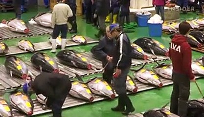Inside the largest fish market in the world, where a single tuna can sell for up to $3 million