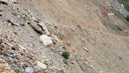 Bitlis’te bulunan 4 adet el bombası böyle imha edildi