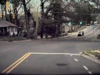 Ce conducteur a failli se faire écraser par un arbre !