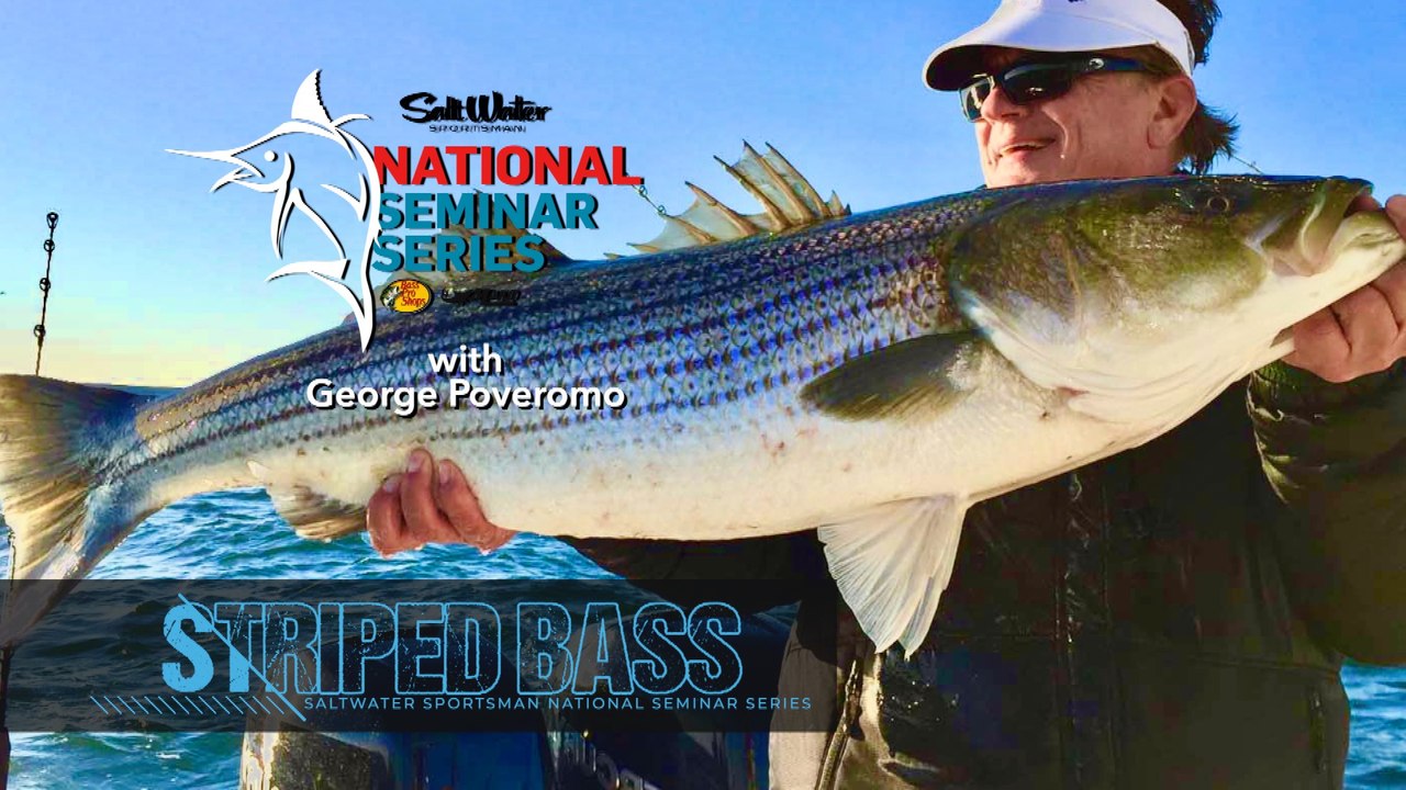 Trophy Striped Bass