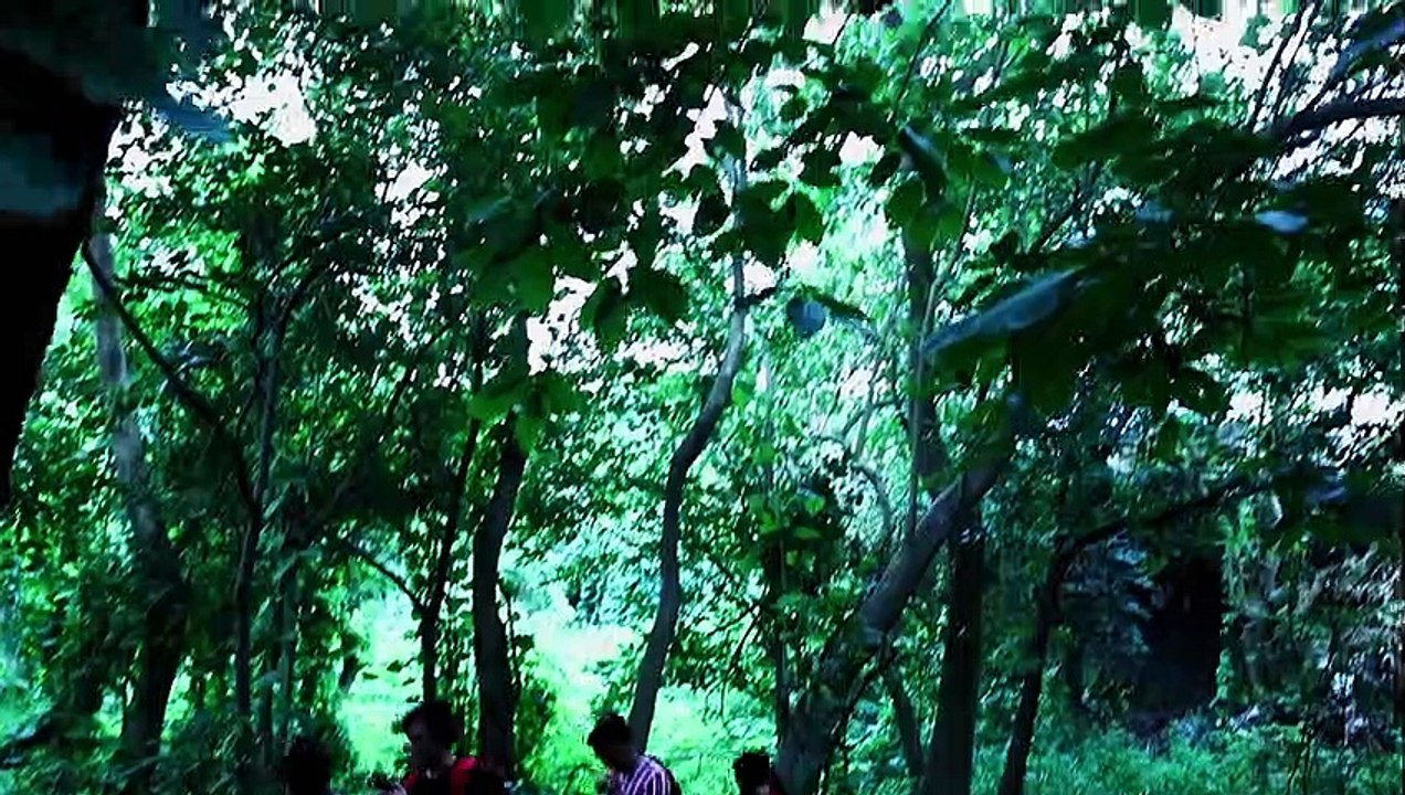 MIRROR FINAL PROMO-2